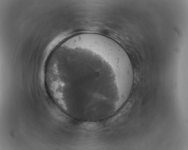 X0000113550294200910091309