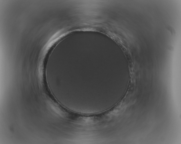 X0000113550295200910091309