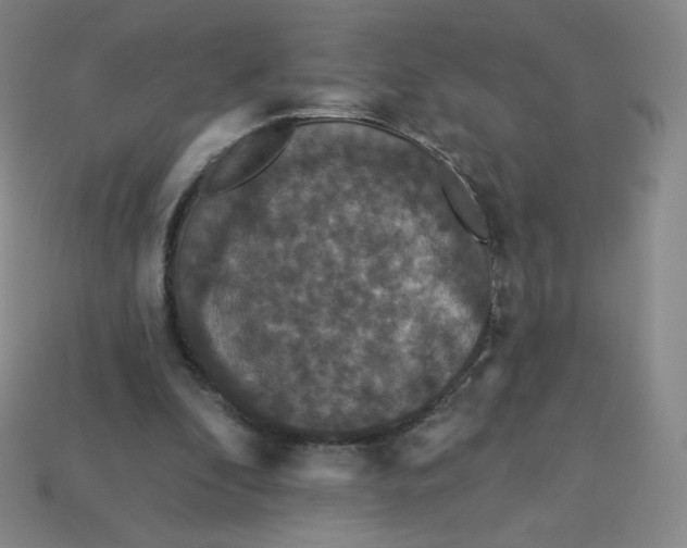 X0000113550296200910091309