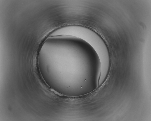 X0000113550297200910091309