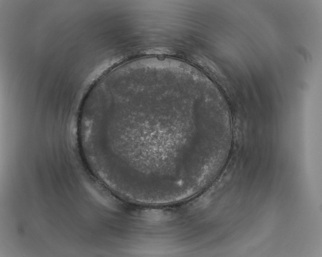 X0000113550298200910091309