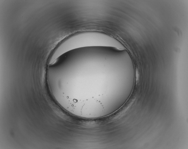 X0000113550301200910091309