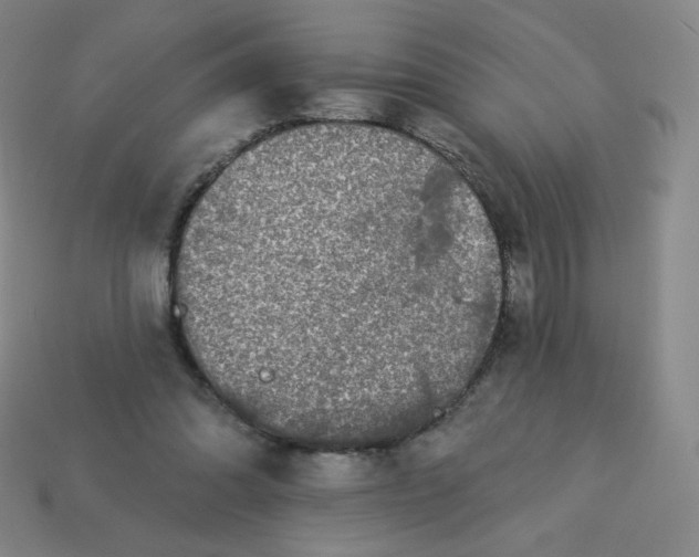 X0000113550302200910091309