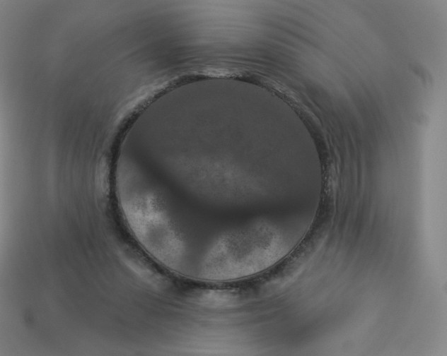 X0000113550303200910091309