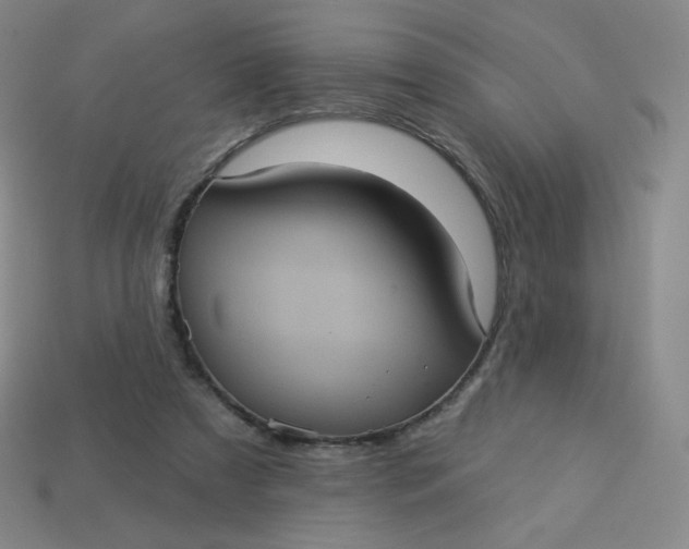 X0000113550305200910091309