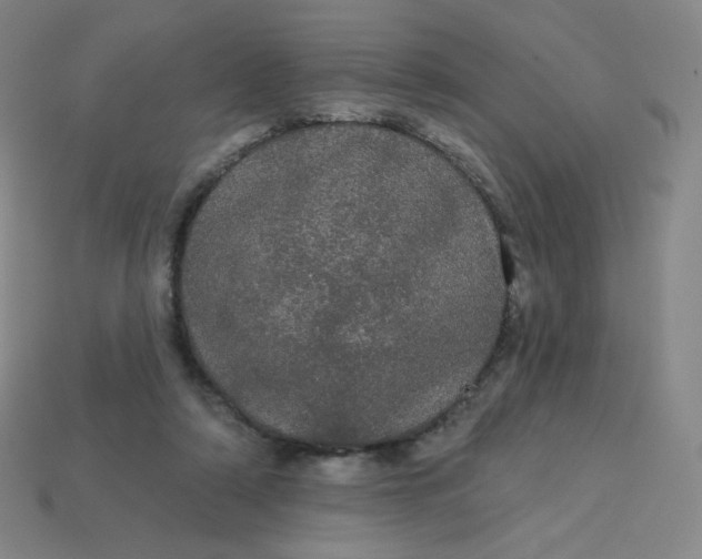 X0000113550306200910091309