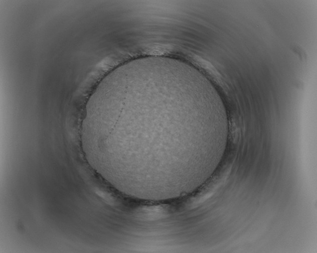 X0000113550307200910091309