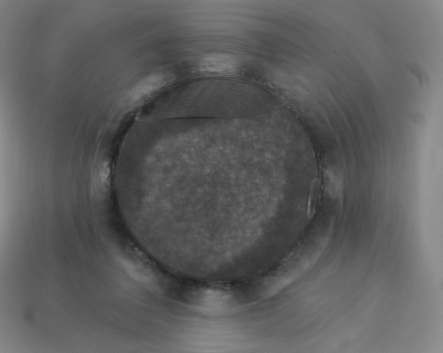 X0000113550308200910091309