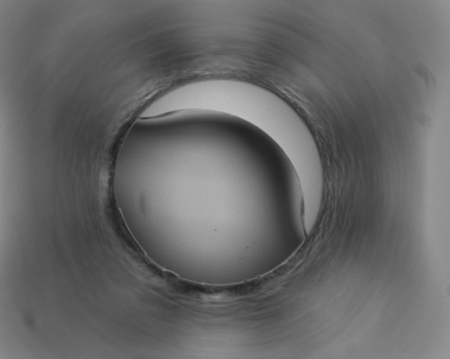 X0000113550309200910091309