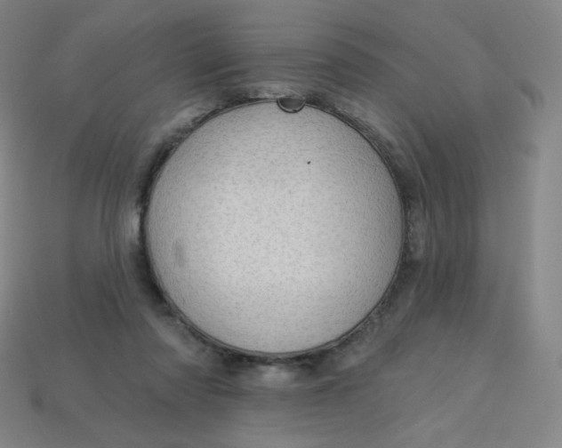 X0000113550310200910091309