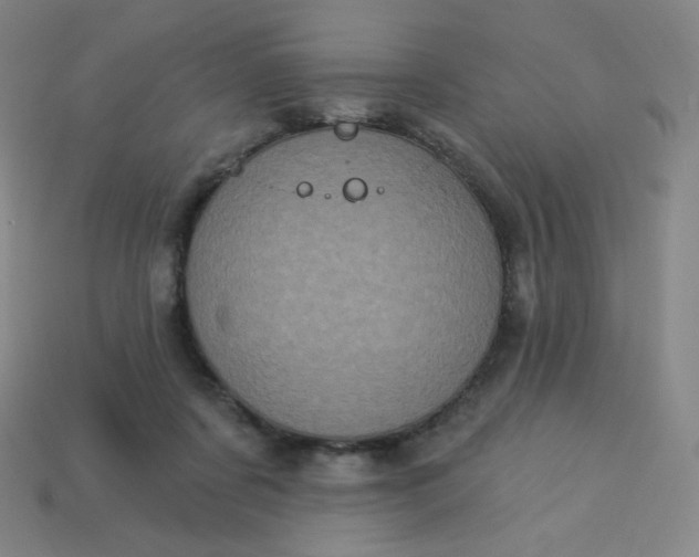 X0000113550311200910091309