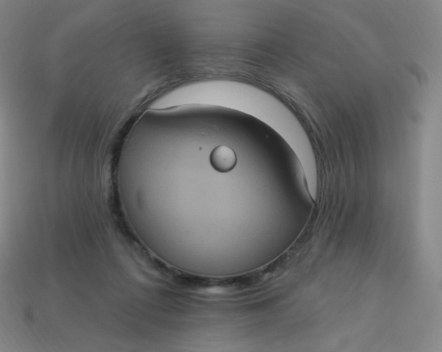 X0000113550312200910091309