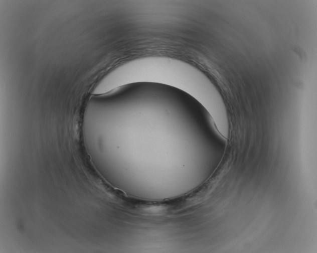 X0000113550313200910091309