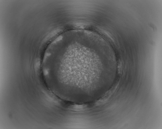 X0000113550314200910091309