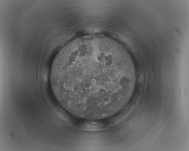 X0000113550315200910091309