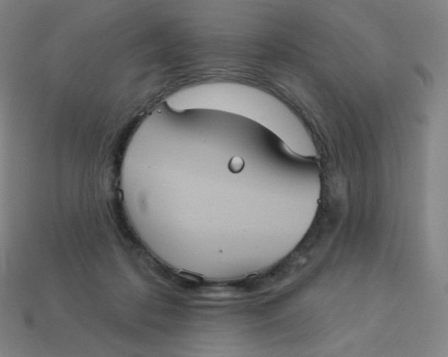 X0000113550316200910091309