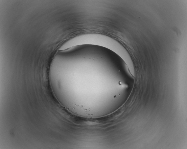 X0000113550317200910091309