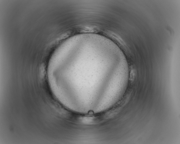 X0000113550318200910091309