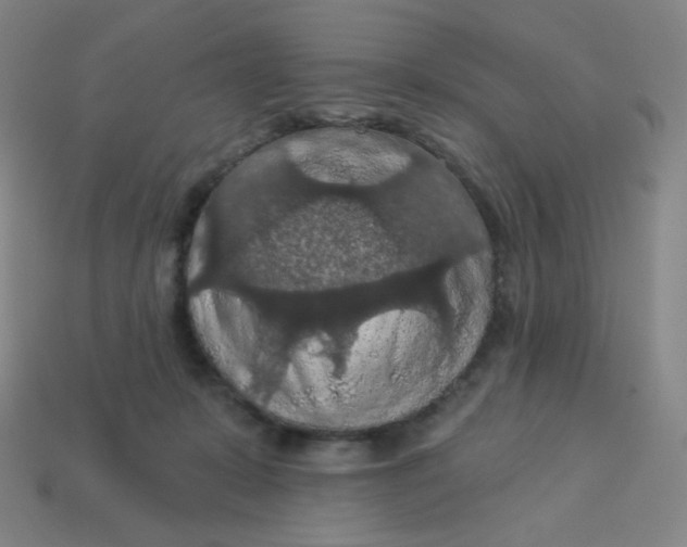 X0000113550319200910091309