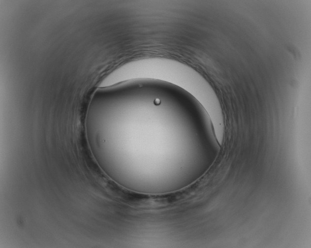 X0000113550320200910091309