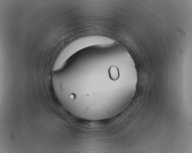 X0000113550324200910091309