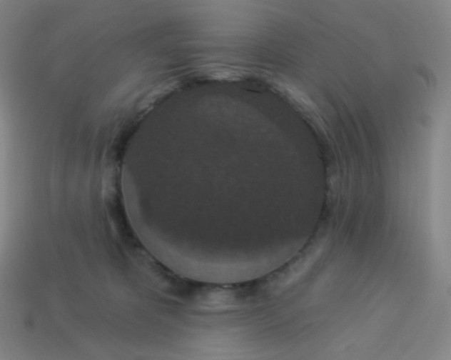 X0000113550325200910091309