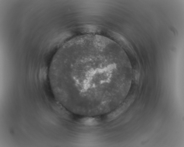 X0000113550326200910091309