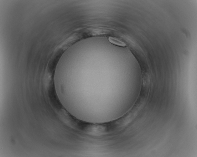 X0000113550327200910091309