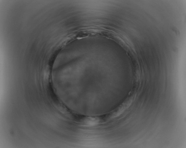 X0000113550328200910091309