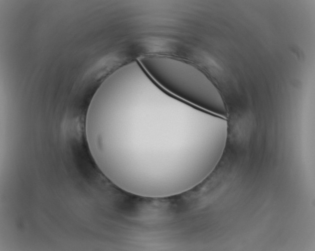 X0000113550329200910091309