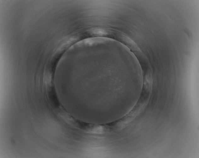 X0000113550330200910091309