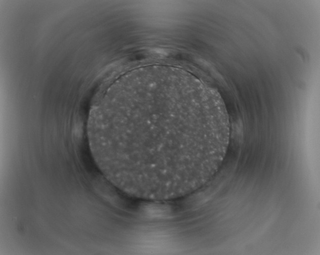 X0000113550331200910091309