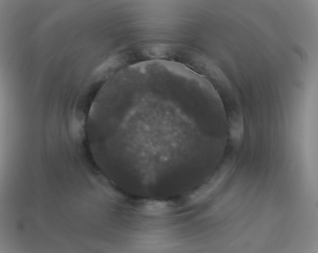 X0000113550332200910091309