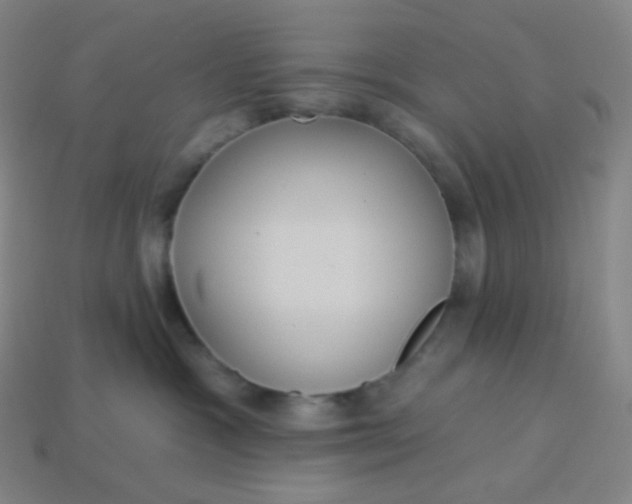 X0000113550333200910091309