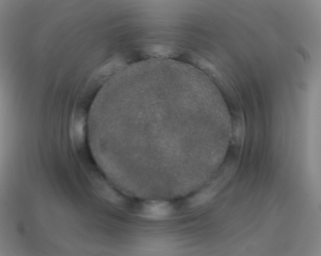 X0000113550334200910091309