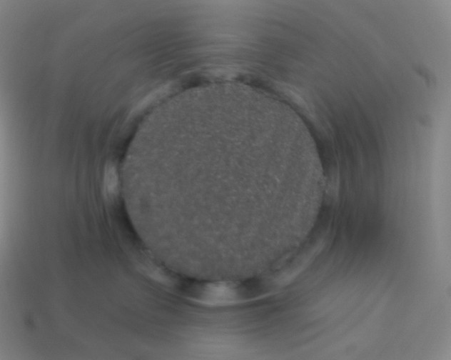 X0000113550335200910091309