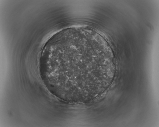 X0000113550337200910091308