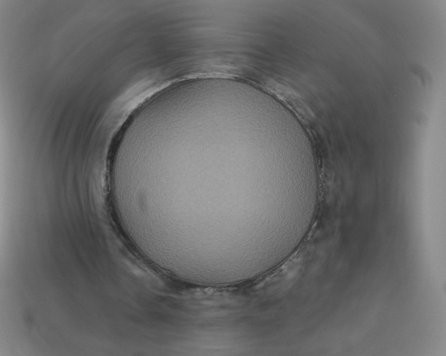 X0000113550338200910091308