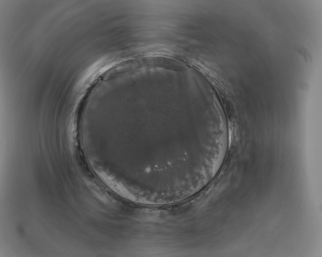 X0000113550339200910091308