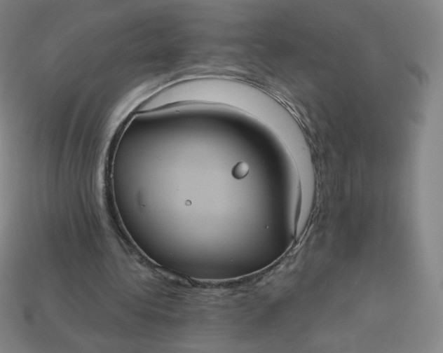 X0000113550340200910091308