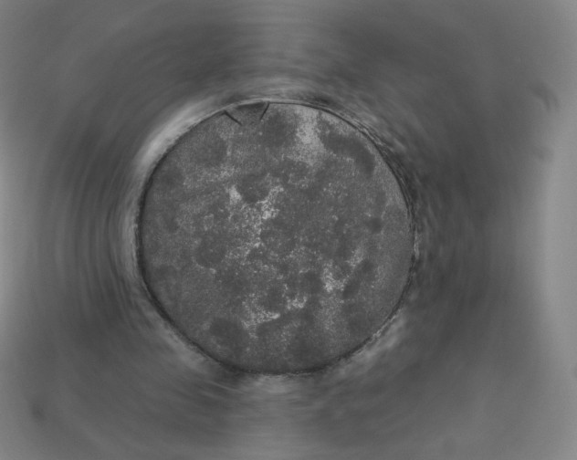 X0000113550341200910091308