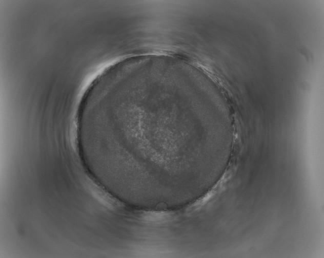 X0000113550342200910091308