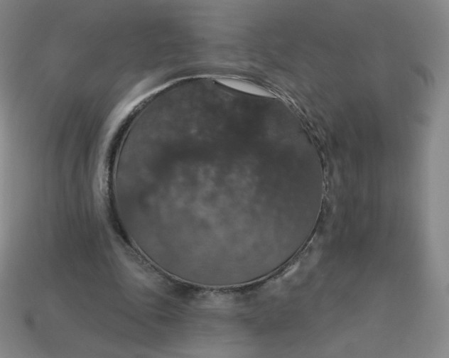 X0000113550343200910091308