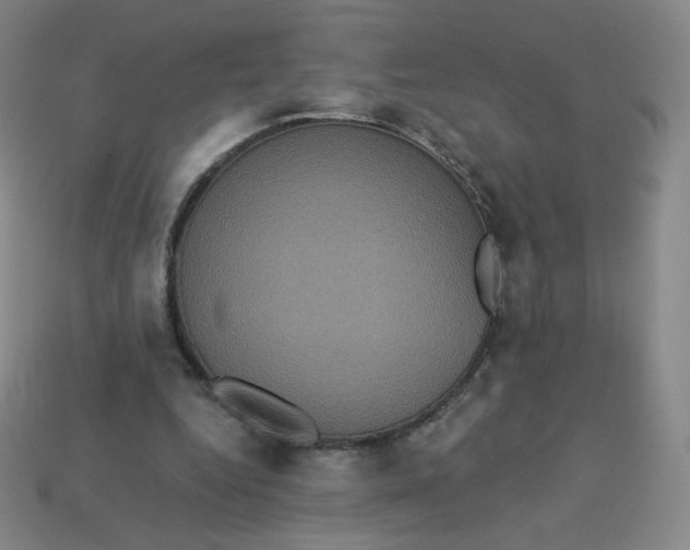 X0000113550344200910091308