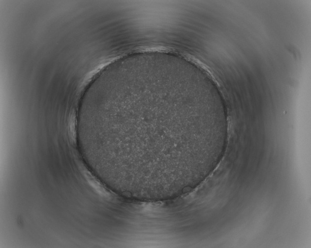 X0000113550345200910091308