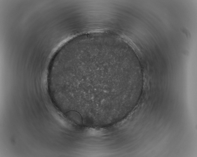 X0000113550346200910091308