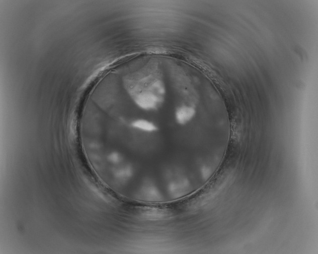 X0000113550347200910091308