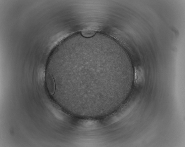 X0000113550348200910091308