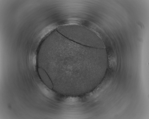 X0000113550350200910091308