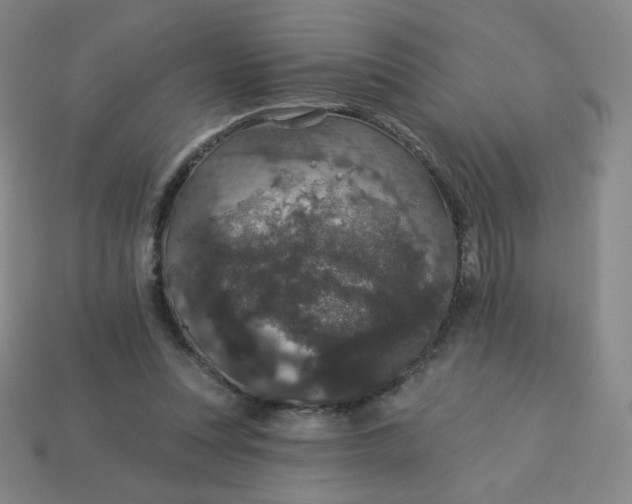 X0000113550351200910091308